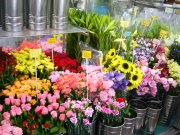 「花一」　（新潟県村上市）の花屋店舗写真3